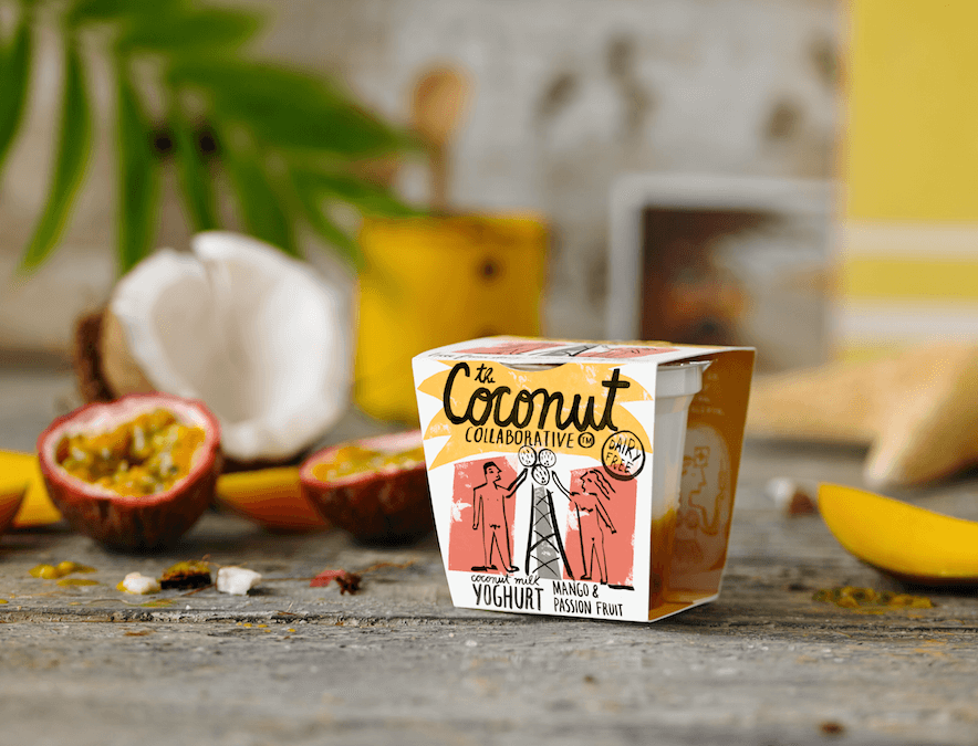 best coconut products, top coconut products, coconut syrup, vegan coconut products