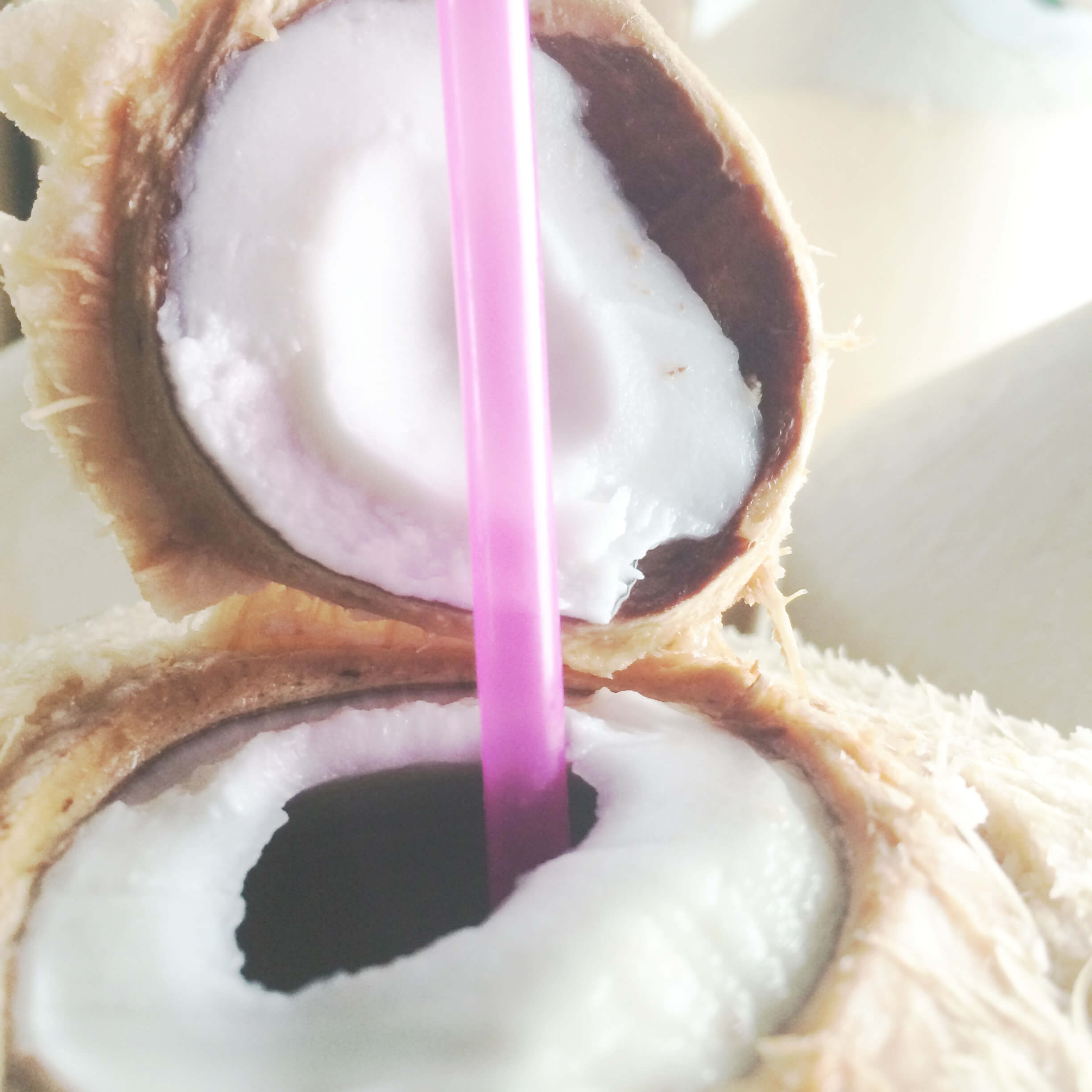 opencoconut