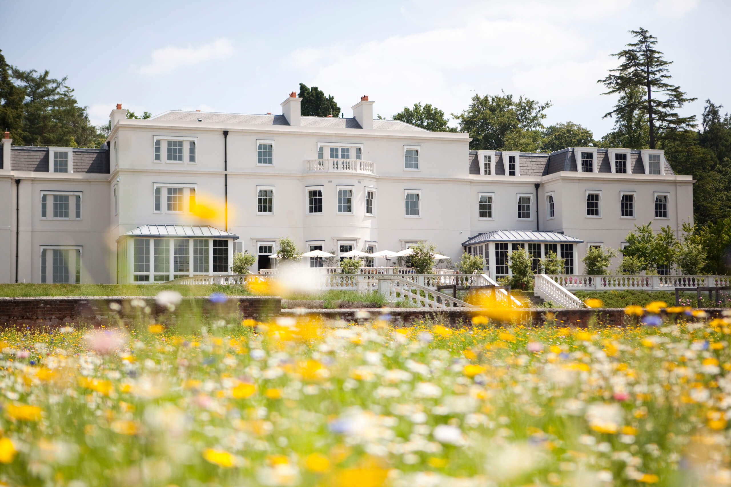 Summertime at Coworth Park (high res)