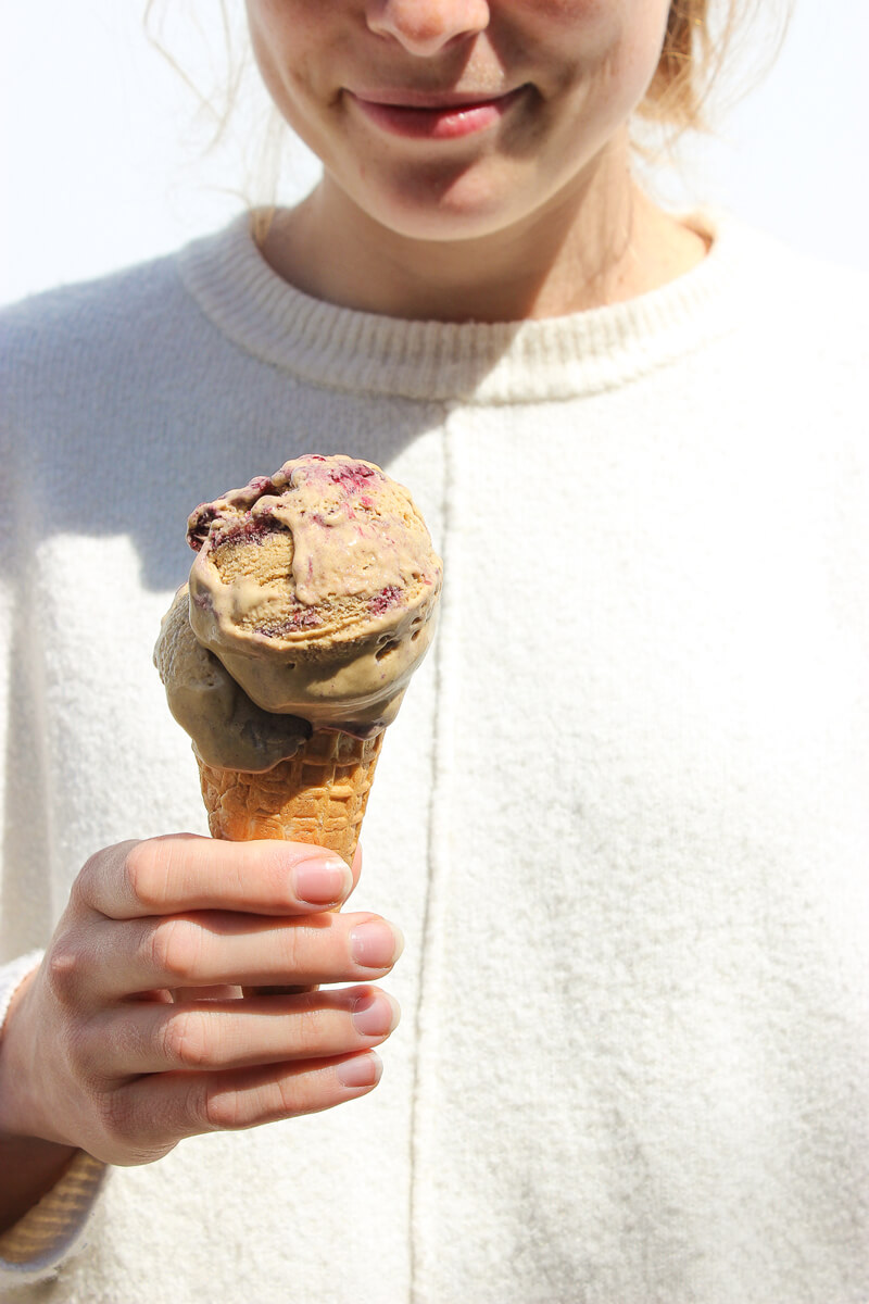 Top 5: Vegan Ice Cream Recipes