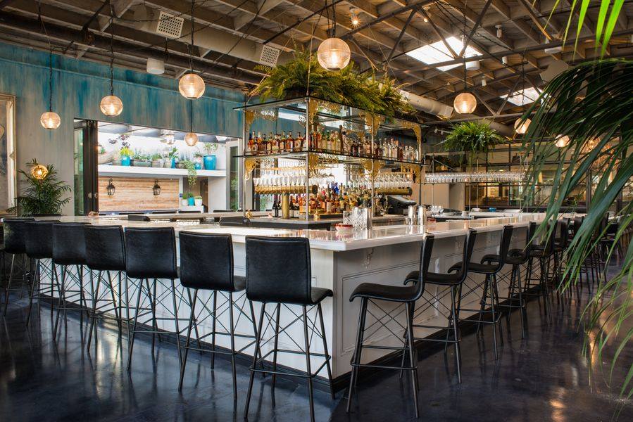 best restaurants in San Diego, Insider's Guide: 10 Must-Try Restaurants in San Diego, best restaurants in San Diego, restaurants in San Diego, best food in San Diego, best restaurants in San Diego, San Diego best restaurants, must try restaurants in San Diego