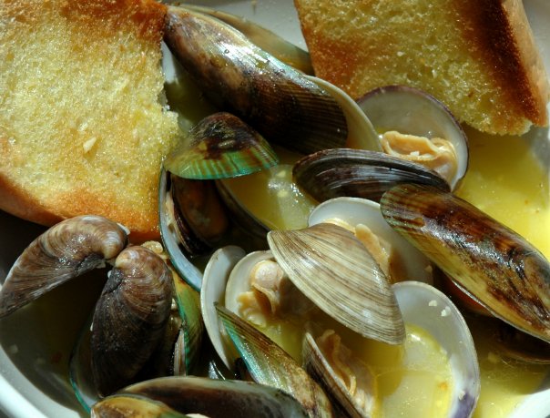 Insider's Guide: 10 Must-Try Restaurants in San Diego, best restaurants in San Diego, restaurants in San Diego, best food in San Diego, best restaurants in San Diego, San Diego best restaurants, must try restaurants in San Diego