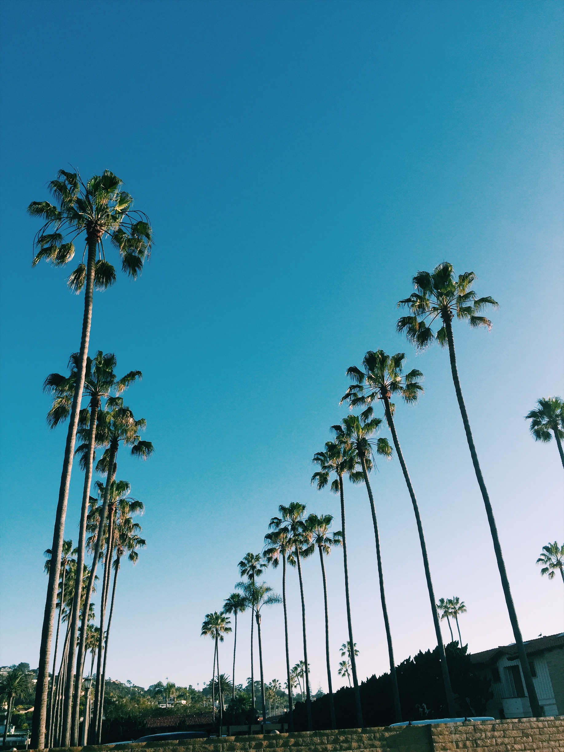 Perfect Weekend: 48-Hours in San Diego, USA, 48-Hours in San Diego, 48 Hours in San Diego, san diego travel guide, san diego weekend guide
