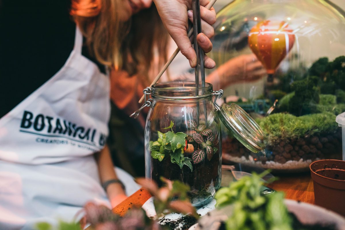 botanical boys terrarium for father's day gifts