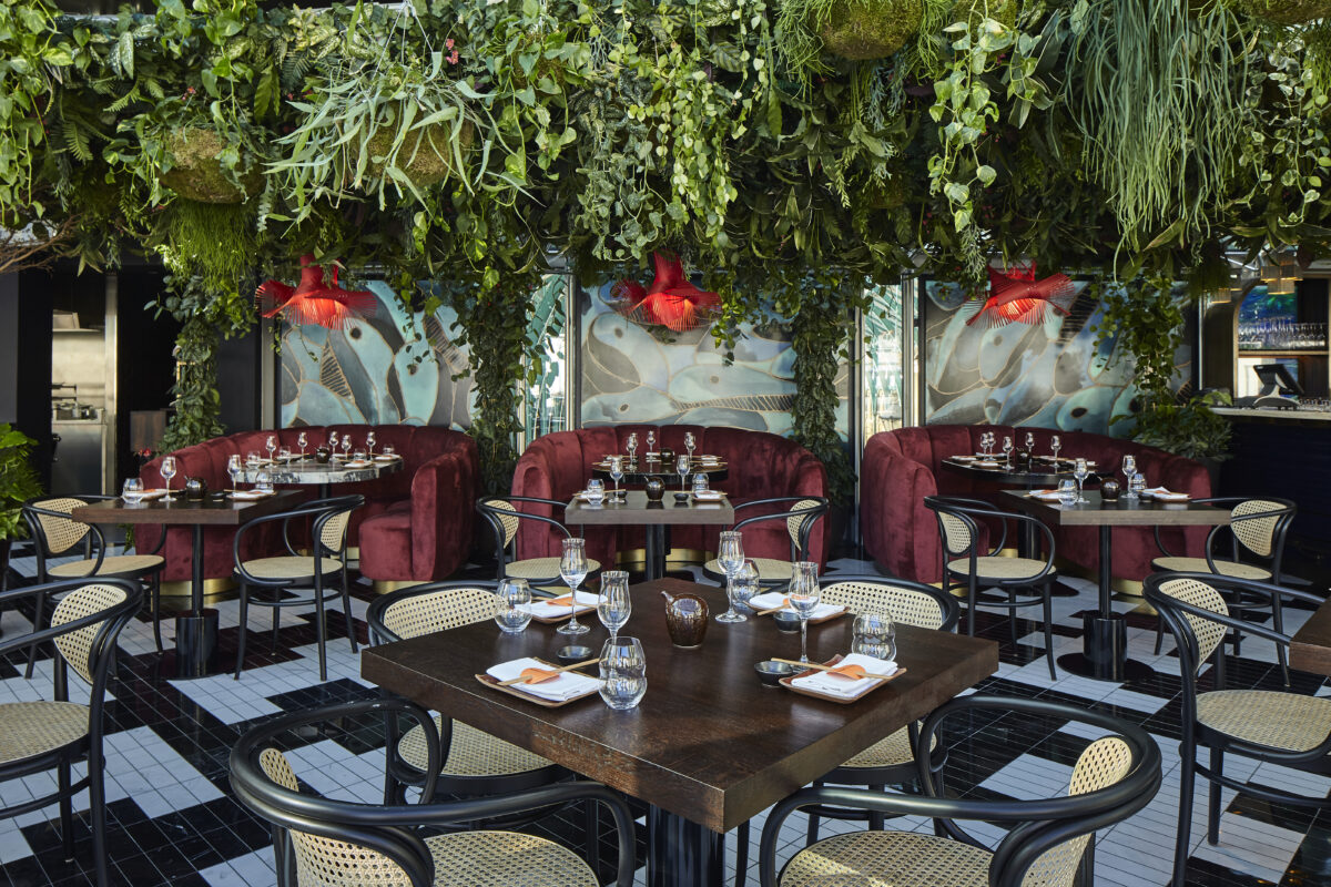 sushi samba review