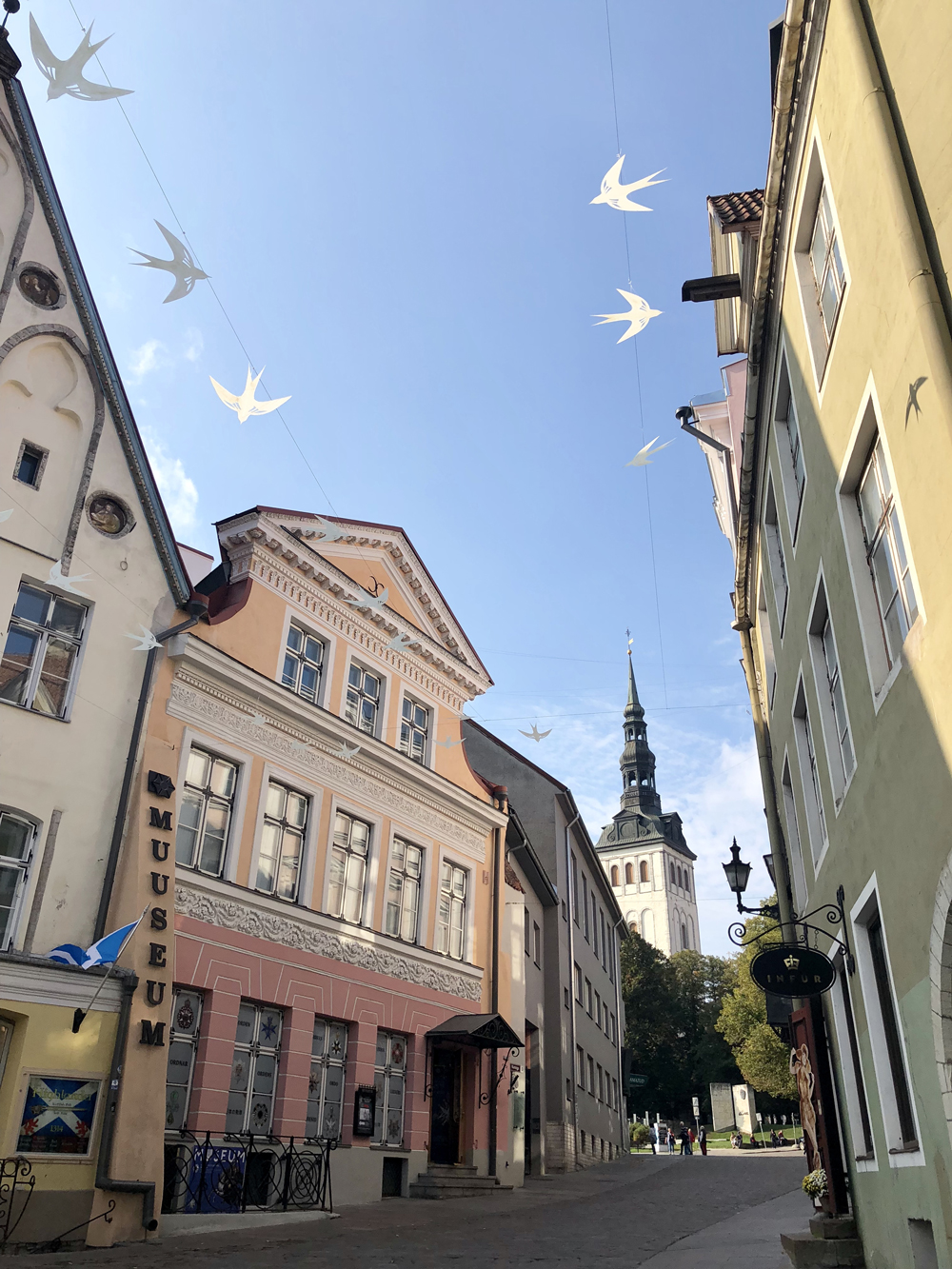 Things to Do in Tallin, Things to Do Tallin Estonia, what to do in Tallin, top things to do in Tallin 